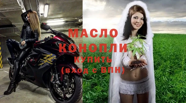амф Бородино