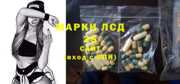 амф Бородино